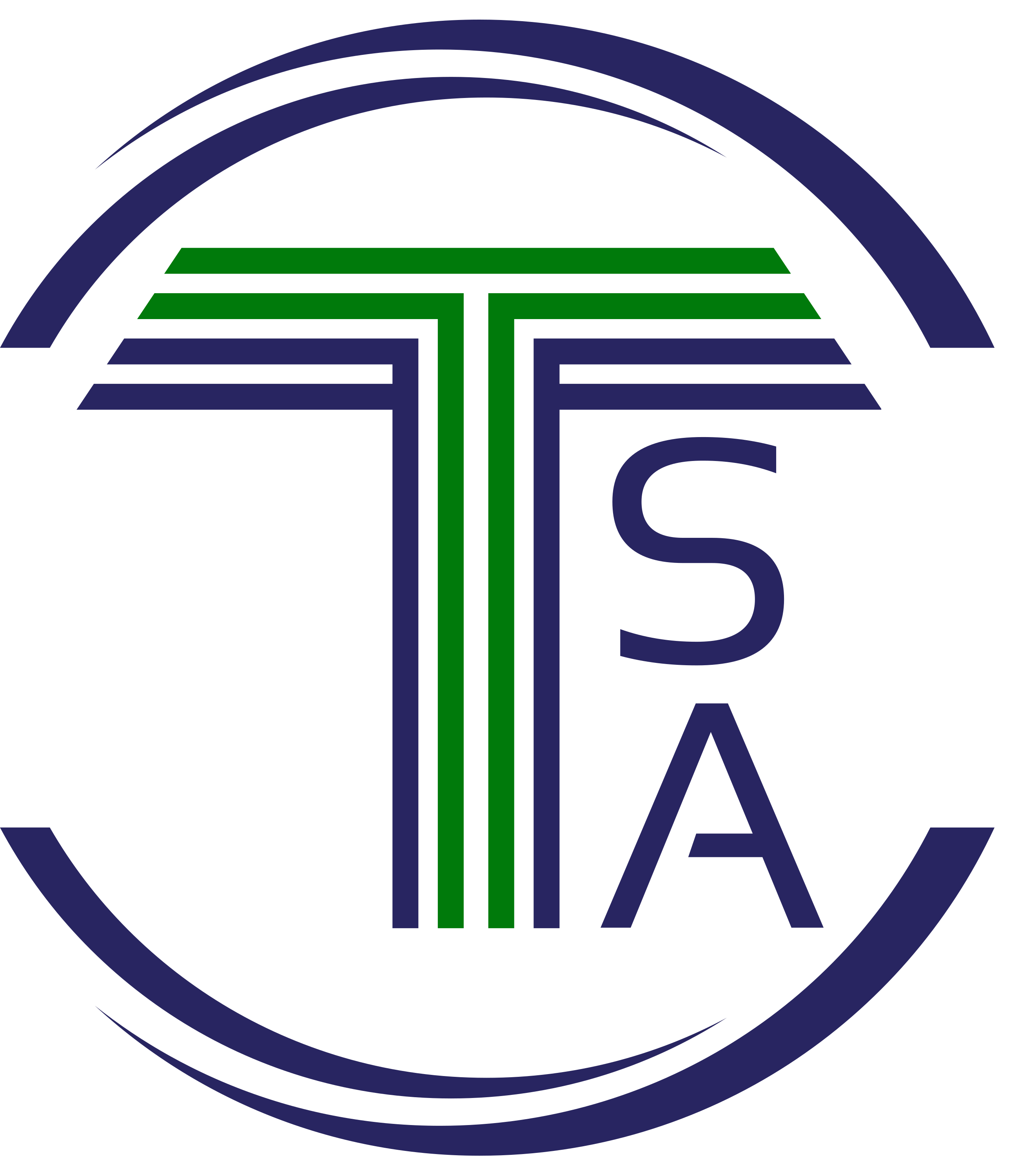 Logo TSA ELEC Mayenne (53)